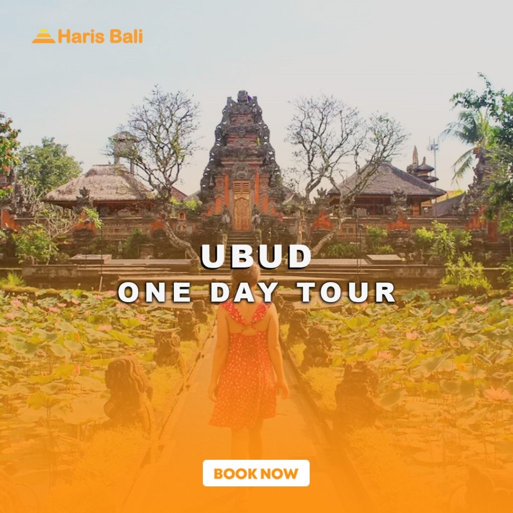 Ubud Tour